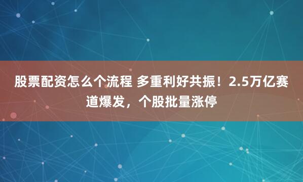 股票配资怎么个流程 多重利好共振！2.5万亿赛道爆发，个股批量涨停
